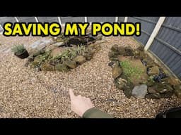 Pond in Trouble!  Rejuvenating a Old pond