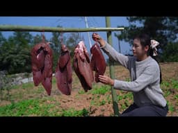 Preserving Fresh Pig  Liver! Now It is time to recover!