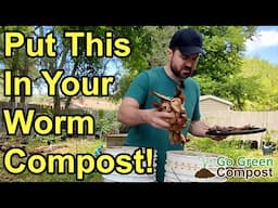 My Vermicompost Worms Love This Food! | More Worms = More Compost