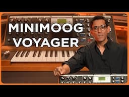 The Minimoog Voyager – A Modern Classic in Analog Synth Sound