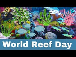 Reef Reverie: Celebrating the Wonder and Resilience of Coral Reefs on World Reef Day