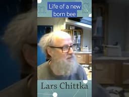 Life of a new born bee w Lars Chittka #reasonwithscience #science #biology #bees