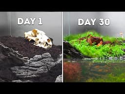 I Simulated an Island Ecosystem in an Old Fish Tank (40 Days)