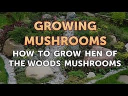 How to Grow Hen of the Woods Mushrooms