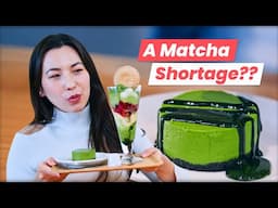 Is Matcha Disappearing? | Where to Enjoy AUTHENTIC Matcha in Tokyo!