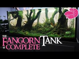 Filling the Fangorn Forest Aquascape! Dry Start Results