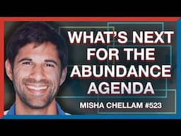 #523 | Misha Chellam: What's Next for the Abundance Agenda? - The Realignment Podcast