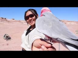 How to Train Your Parrot Like a Pro! | Kathy and Mai