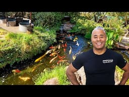 This Koi Farm Raises Hundreds of Fish for Sale Worldwide