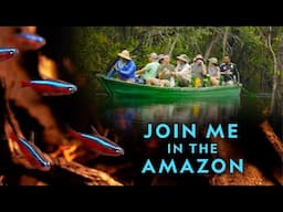 JOIN ME IN THE AMAZON RAINFOREST!!  Project Piaba Trip — September 24-October 8, 2022