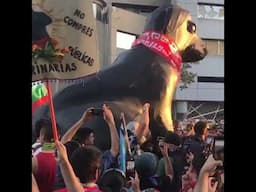 CHILE | Izquierdistas realizan procesión del "perro sagrado".