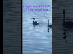 a day in my LAKE LIFE in November part 2! #lake #lakeliving #lakelife #newenglandliving