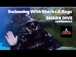 Swimming With Sharks at Bear Grylls Experience Birmingham | Shark Dive