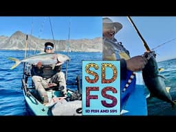 COMMERCIAL FISHING YELLOWTAIL | Bahia Asuncion BAJA CALIFORNIA Sur MEXICO | Panga & Solo Skiff