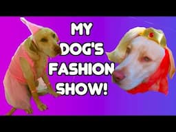 MY DOG'S FASHION SHOW!