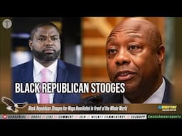 Black Republican Stooges For Maga Humiliated in Front of the Whole World