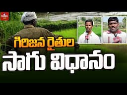 Tribal Farming Techniques:  గిరిజన రైతుల సాగు విధానం | hmtv Agri