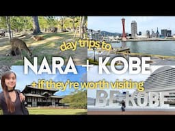 🇯🇵 Day trip to Nara + Kobe from Osaka: itinerary, costs + top things to do ✈️ Solo Travel Japan Vlog