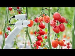 Robots Replacing Farm Workers Forever 😮😲