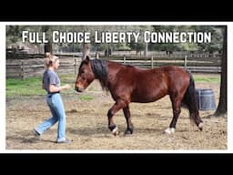 Letting the Horse make a Choice - Liberty Connection