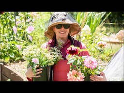 Gardening Flowers and Veg in the Heat of Australian Summer. Gentle Garden ASMR