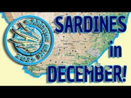 Sardines in December featuring Dean Dickinson