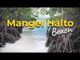 Aruba's Mangel Halto beach sunset walk