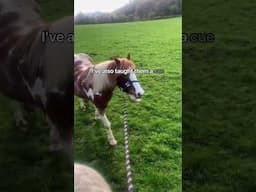 Want Your Horse To WILLINGLY come off the Grass?