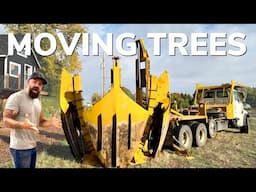 Making Room for a Big Project || Moving Big Trees