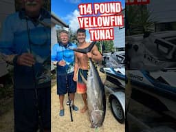 HUGE! Yellowfin Tuna caught on SEA-DOO with Hector & his Grandad #jetski #hugefish #yellowfin #fish