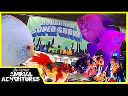 AQUARIUM SUPER SHOW POMONA! (LA Pet Fair)