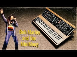 Bob Marley & The Minimoog