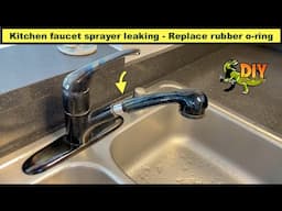 Kitchen faucet sprayer leaking - Replace rubber o-ring