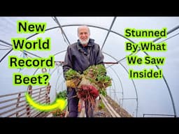 World Record Giant Beet? Harvesting, Weighing, and Cutting Open This Massive Veggie!