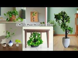 Money Plant Magic: 5 Indoor Money Plant Decoration & Styles Ideas to Refresh Your Home//GREEN PLANTS