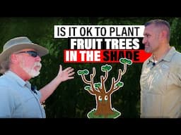 Is it OK to Plant Fruit Trees in SHADE?! (Plus Pruning Example) W/ Tree Expert Tom Spellman