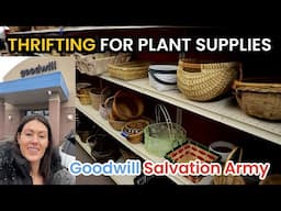 THRIFTING For Plant Supplies! Goodwill & Salvation Army - Hunt For Houseplant & Indoor Plant Stuff!