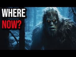 Top Ranked BIGFOOT Sightings Caught on CAMERA