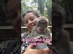 🇮🇩Brave/Scared #travel #bali #indonesia #reels #viral #monkey #fun #amazing #challenge #funny