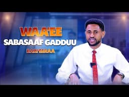 Waa'ee Sabasaaf Gadduu - Bari'eeraa