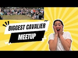 THE BIGGEST CAVALIER GATHERING