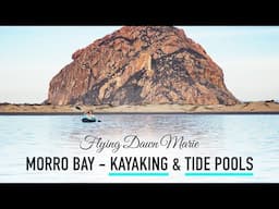 285: Exploring Morro Bay: Tide Pool Treasures & Kayaking with Sea Otters (Perfect Day in Morro Bay)