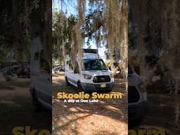 What’s a day like at Skoolie Swarm? #vanlife #florida #shorts