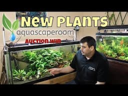 My Plants From The Aquascape Room Auction Are Here & Planted.