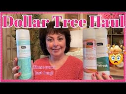 DOLLAR TREE HAUL | THESE WON'T LAST LONG!