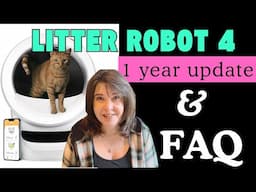 Questions People Have About The Litter-Robot 4 Answered and One Year Update