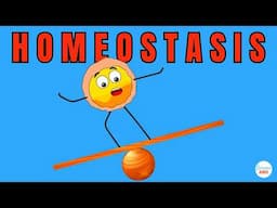 Homeostasis Explained in Simple Words