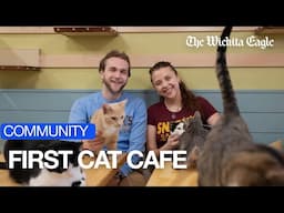 Take a look inside Wichita's first cat cafe