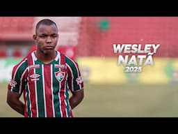 16 Year Old Wesley Natã Was Born to Dribble