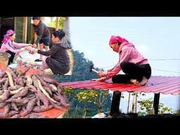 Mother roofed the duck coop with corrugated iron and then took her daughter to sell sweet potatoes.